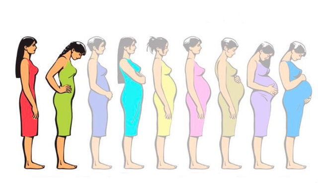 Hamilelik Döneminde Vücutta Gerçekleşen Değişimler